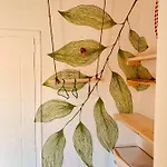 Family Tree - Water Available - Self Check In Golem (Tirana)