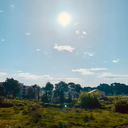 Family Tree - Water Available - Self Check In