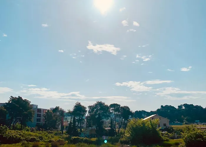 Family Tree - Water Available - Self Check In